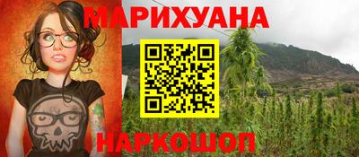 крисы Лесной